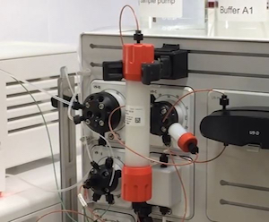 automated multisite protein purification