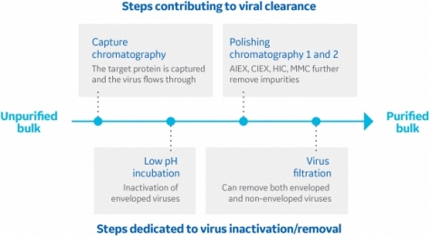 viral clearance